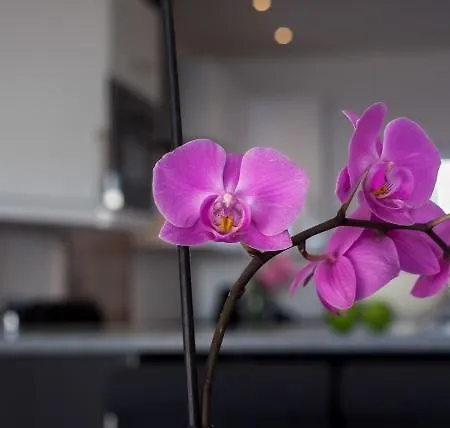 Waterside Village * Praia Da Luz