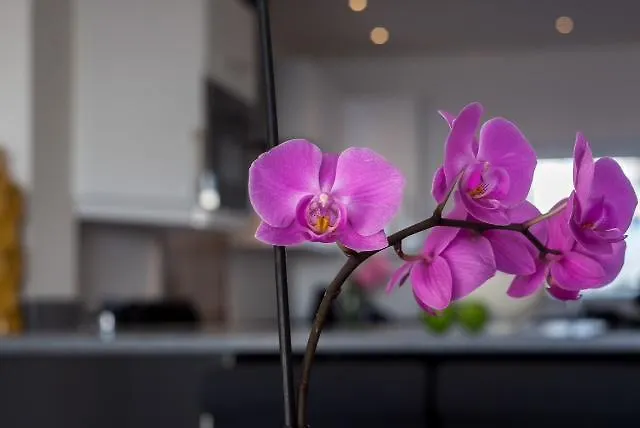 Waterside Village * Luz